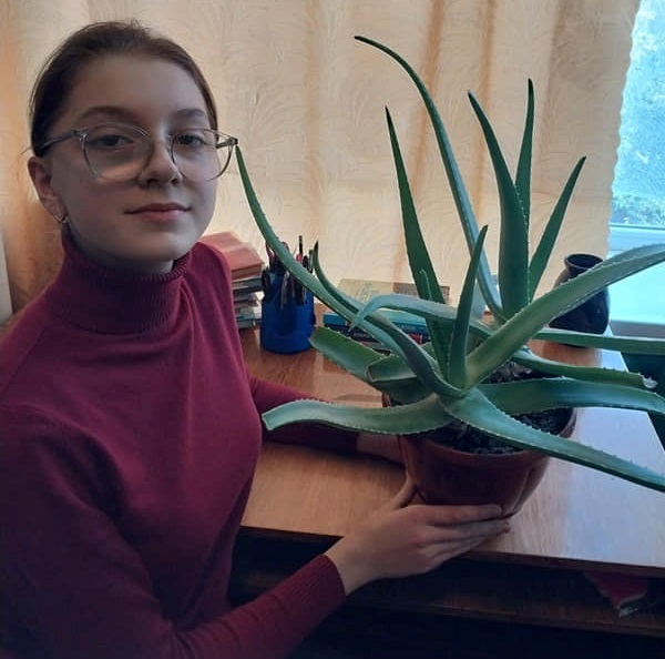 Діана Волосячик