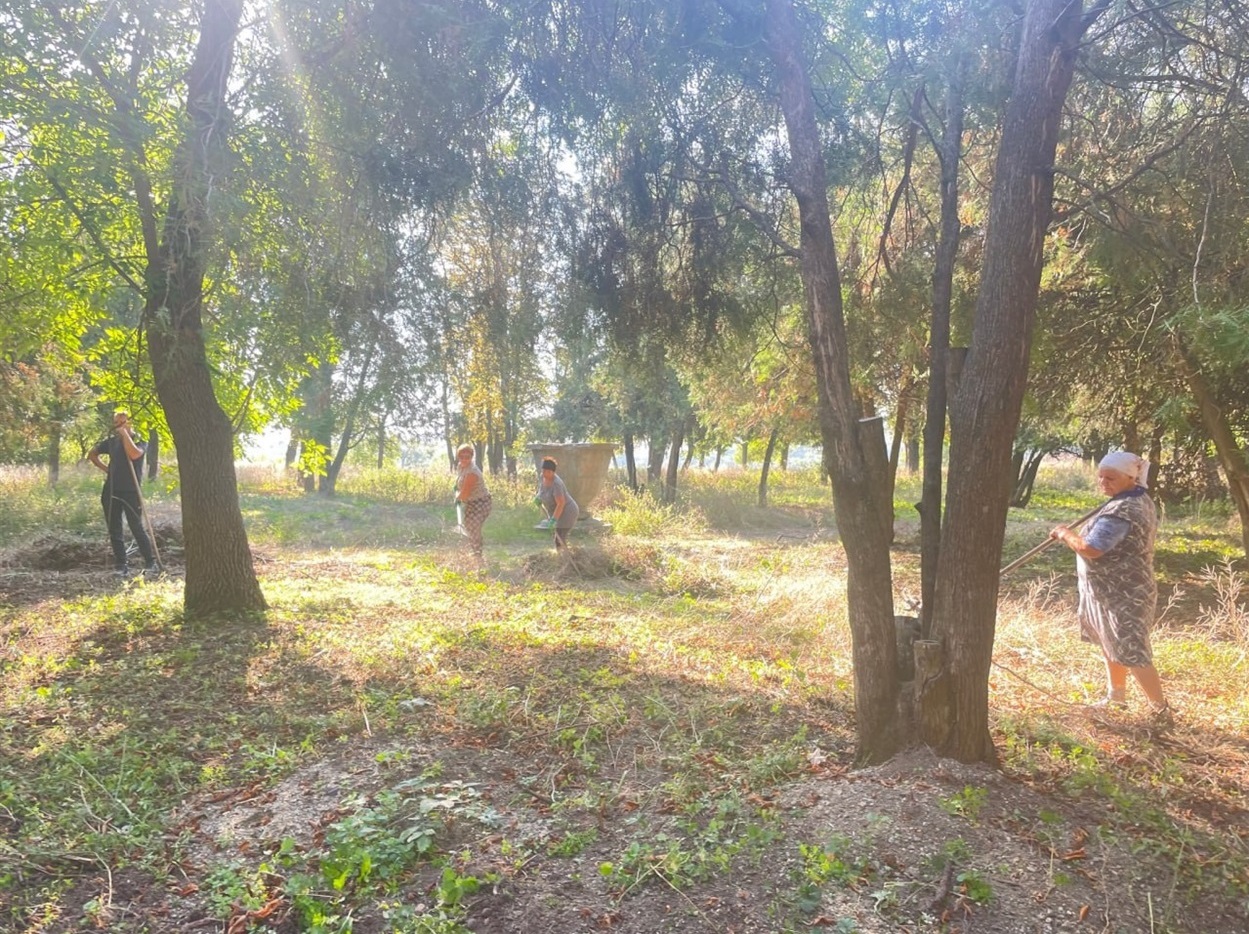 Очищення парку у Володимірівці