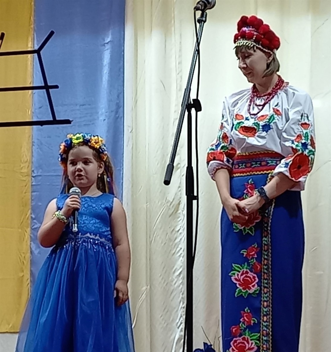 Під час благодійного заходу в селі Іванківці