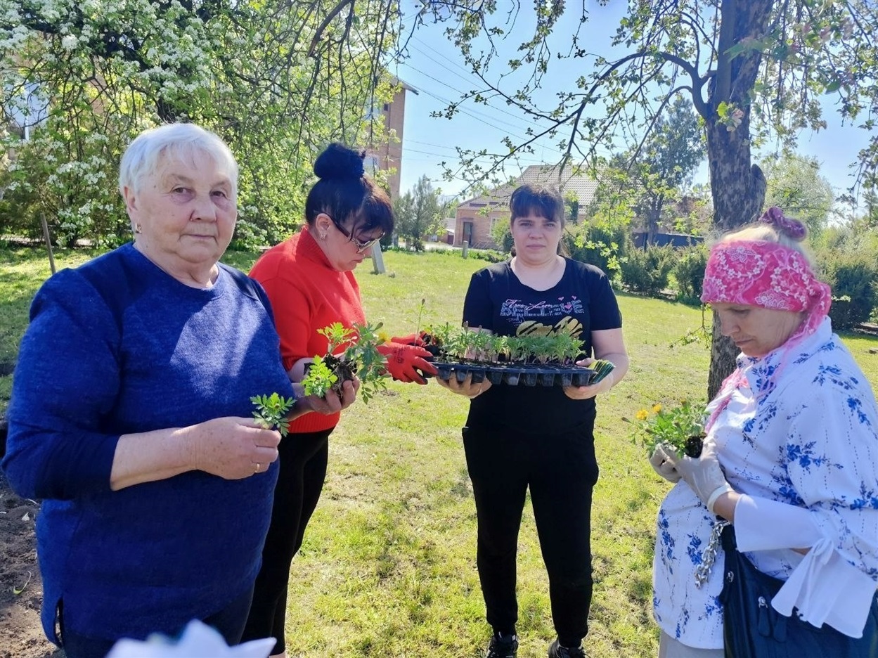 Ольга Бондаренко, Ілона Абаранок, Катерина Середа та Валентина Соколова висаджують квіти