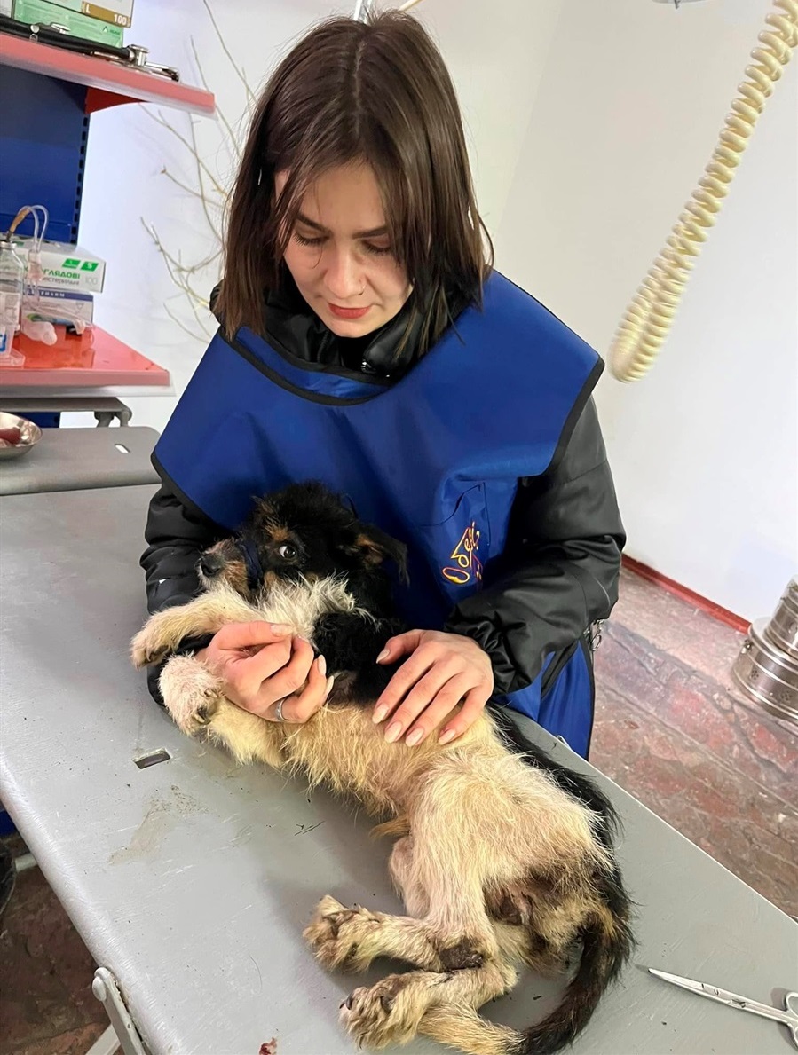 Богдана з Супчиком