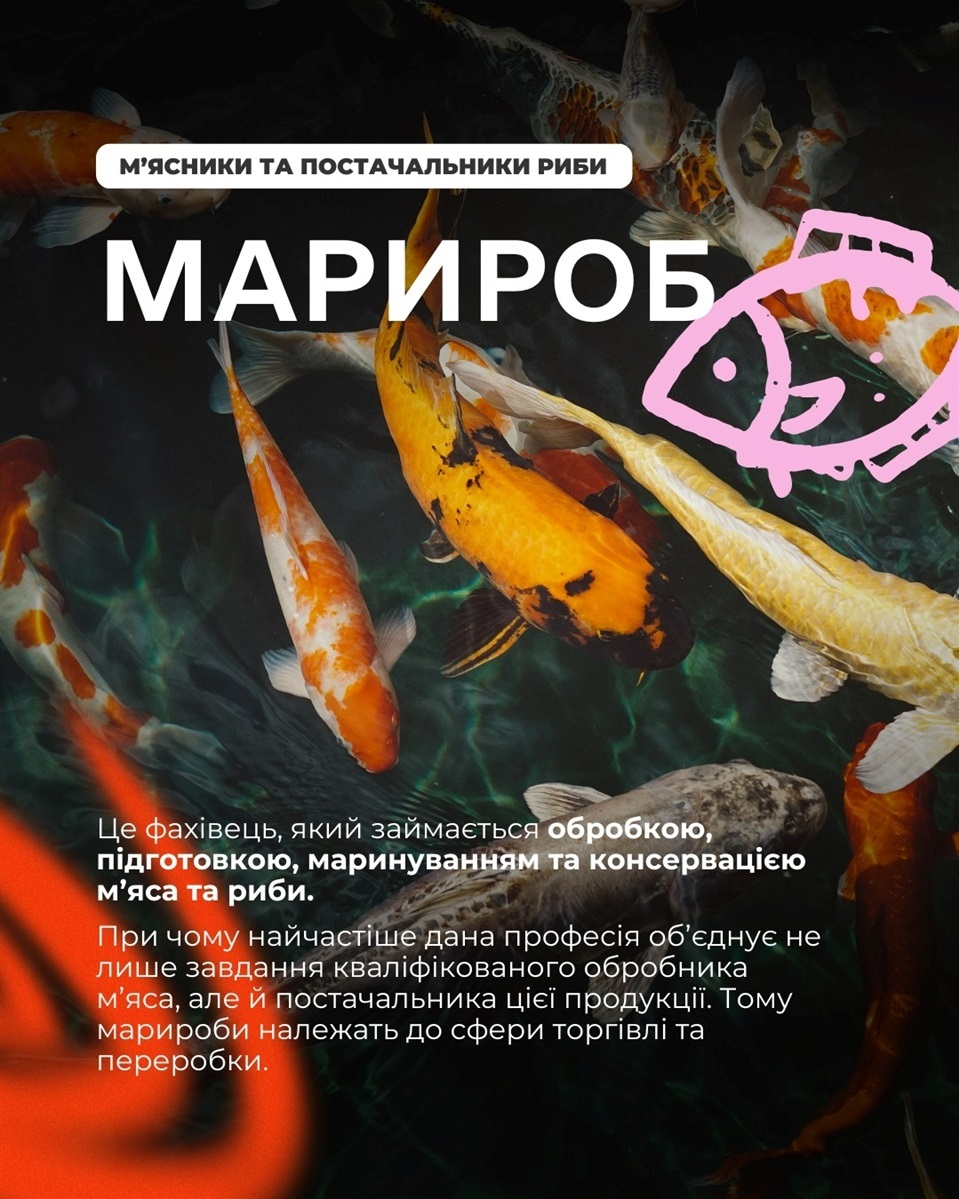 Професія Марироб
