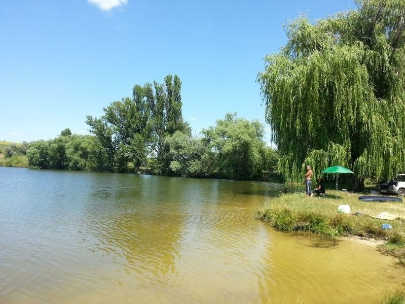 Шаблине, Кіровоградська область