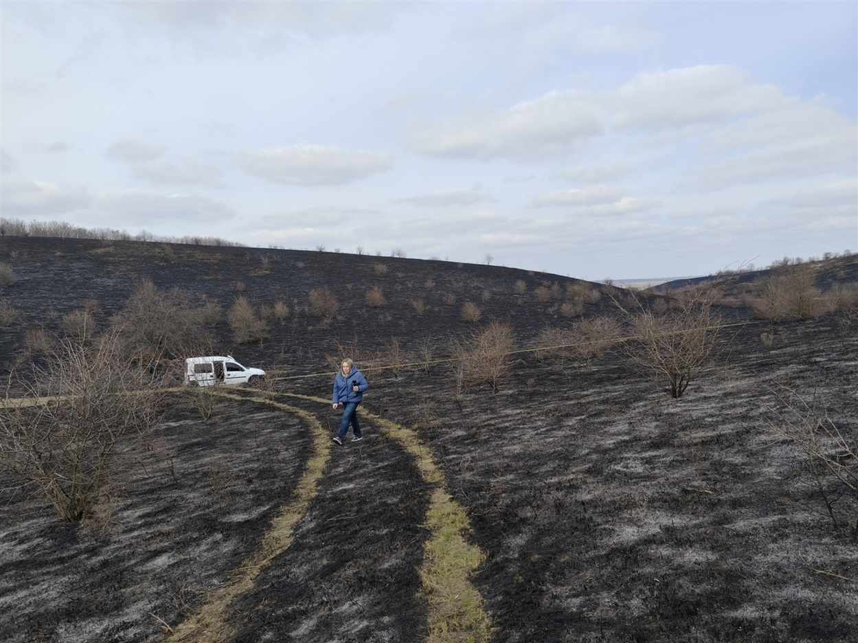 Наслідки пожежі, яка сталася у березні 2025 року у Дмитрівській громаді