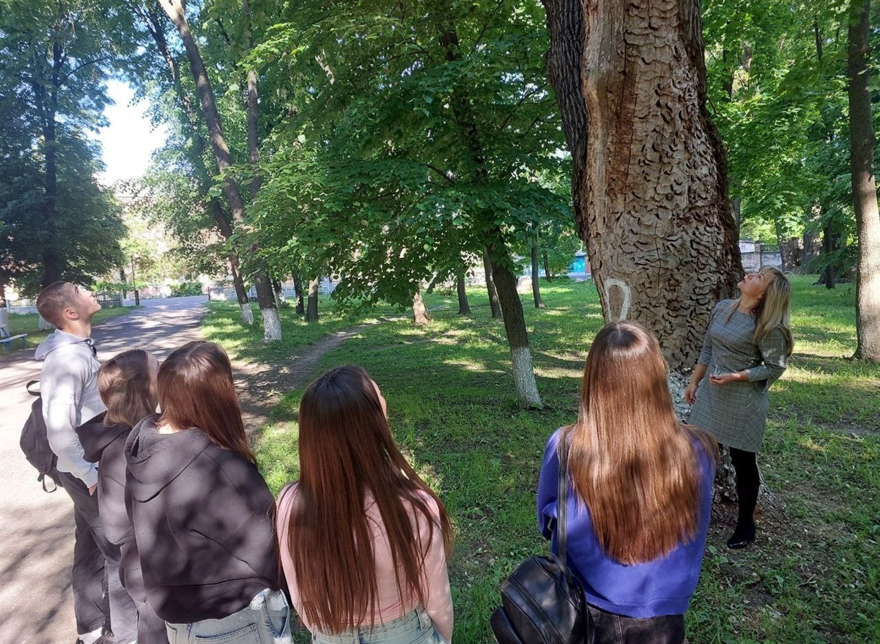 Огляд стану дубів та інших дерев у Знам'янському парку Оксаною Погребняк та її учнями