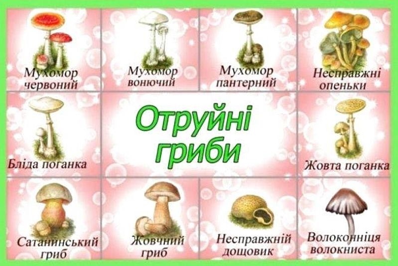 Отруйні гриби