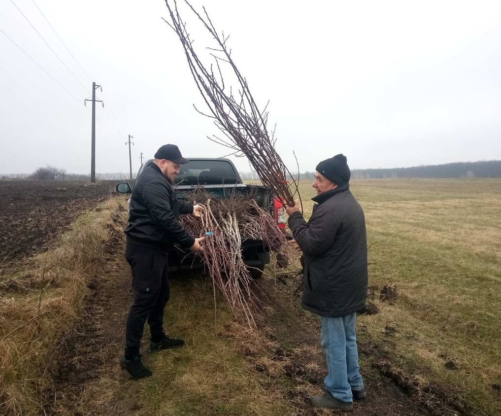Учасники акції готують дерева для висаджування