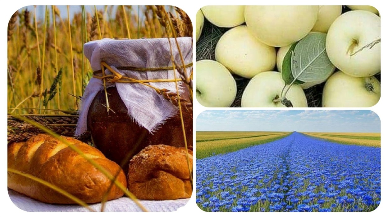 На перехолі