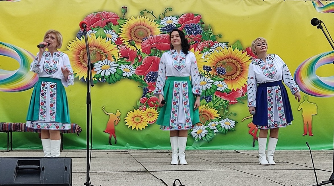 Під час концертної програми