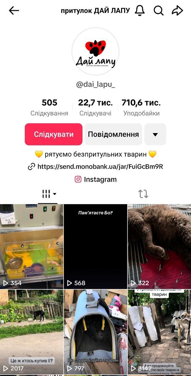 Сторінка Богдани Стоян у тік тоці (dai_lapu_)