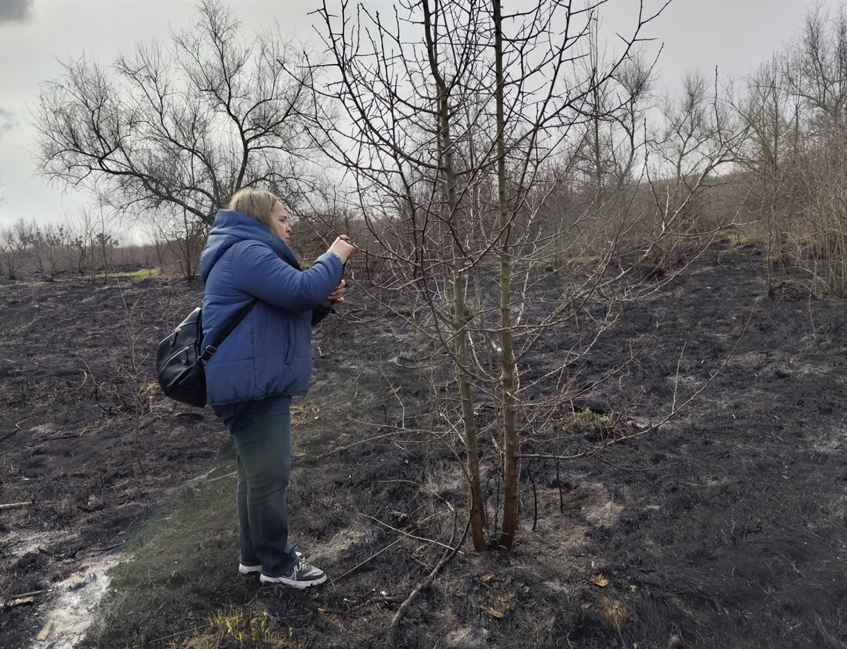 Журналістка фотографує гніздо пташки на обгорілому дереві