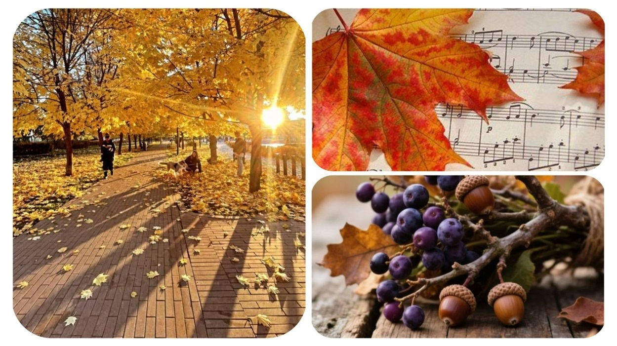 Листопадовий ранок